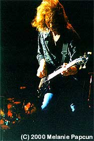 Bruce Turgon